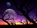 ciels_003