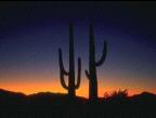 deserts_006
