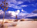 deserts_008
