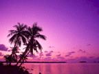 hawaii