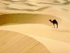deserts_010