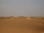 dunes.JPG